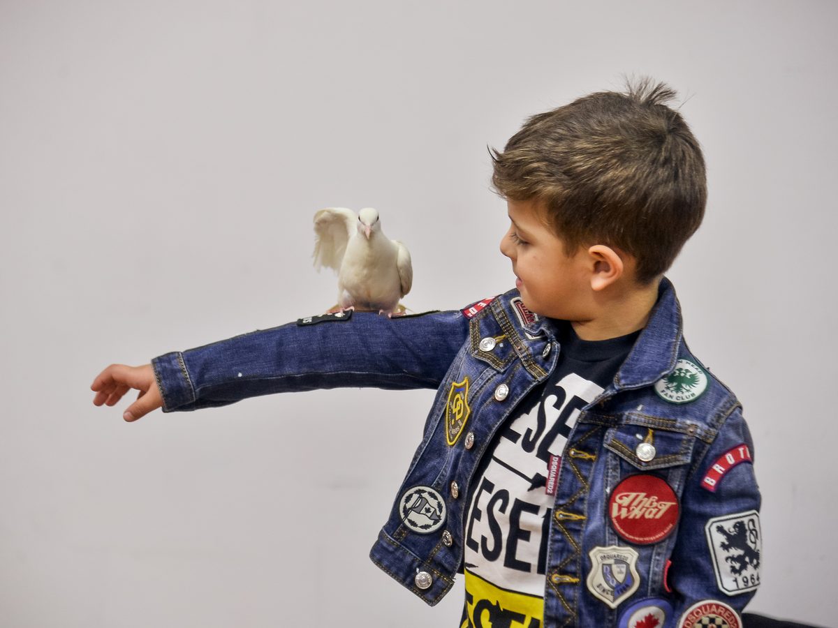 Interactive Zoo at a La Folie kids birthday party in Dubai